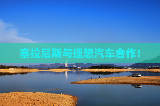 塞拉尼斯与理想汽车合作！
