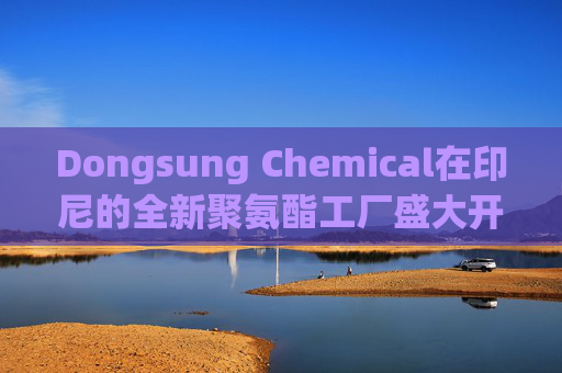 Dongsung Chemical在印尼的全新聚氨酯工厂盛大开业