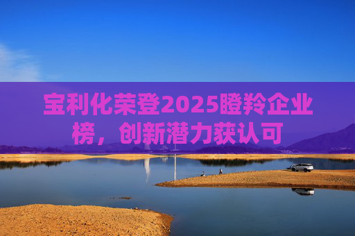 宝利化荣登2025瞪羚企业榜，创新潜力获认可