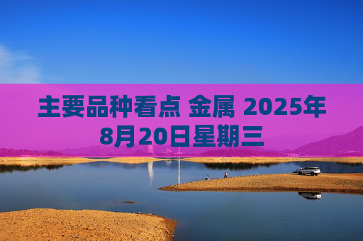 主要品种看点 金属 2025年8月20日星期三