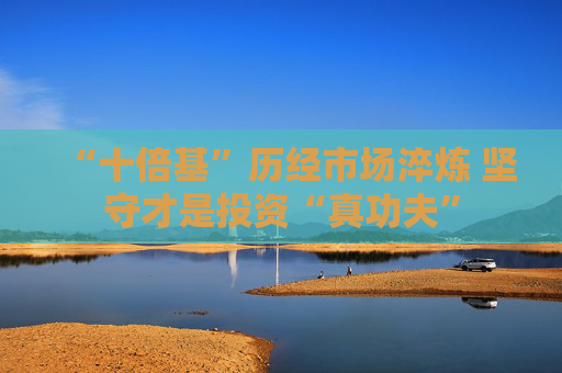 “十倍基”历经市场淬炼 坚守才是投资“真功夫”
