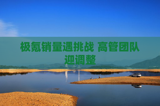 极氪销量遇挑战 高管团队迎调整
