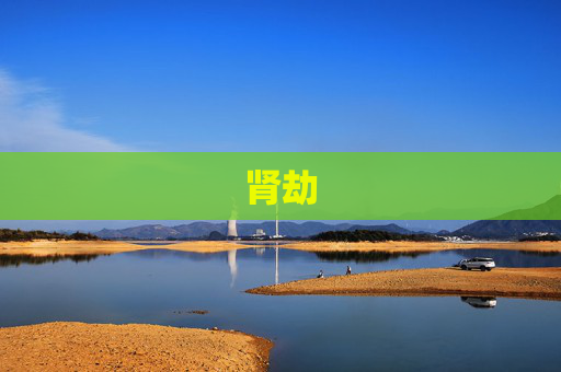 肾劫
