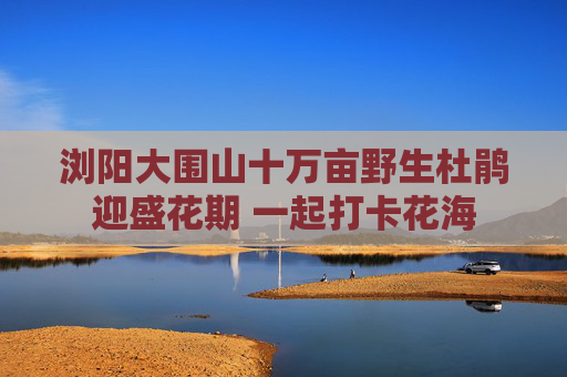 浏阳大围山十万亩野生杜鹃迎盛花期 一起打卡花海