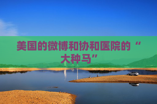 美国的微博和协和医院的“大种马”