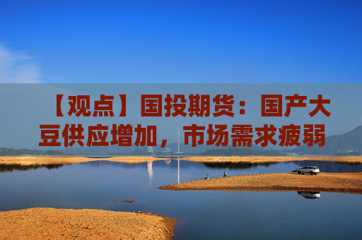 【观点】国投期货：国产大豆供应增加，市场需求疲弱