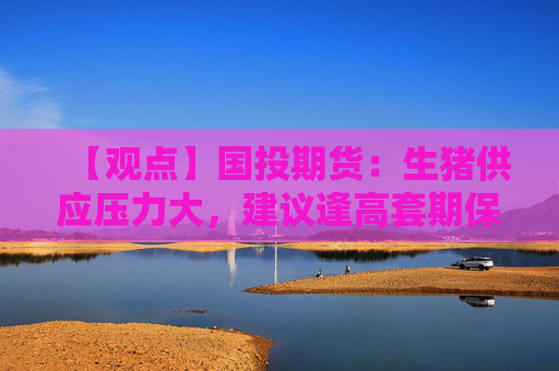 【观点】国投期货：生猪供应压力大，建议逢高套期保值