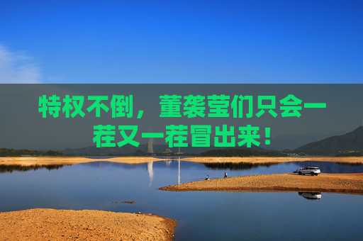 特权不倒，董袭莹们只会一茬又一茬冒出来！