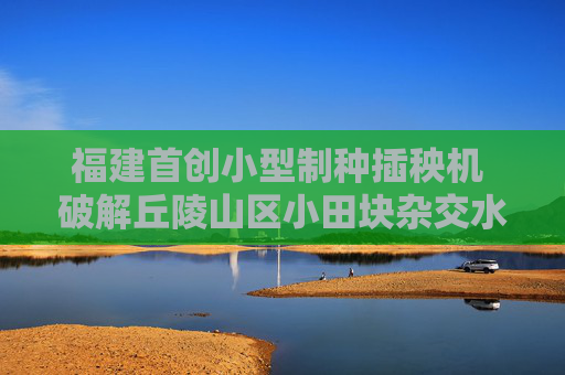 福建首创小型制种插秧机 破解丘陵山区小田块杂交水稻制种机械化难题