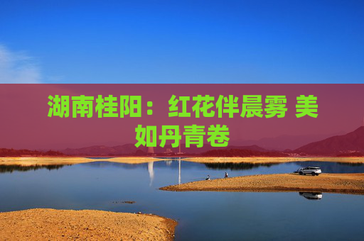 湖南桂阳：红花伴晨雾 美如丹青卷