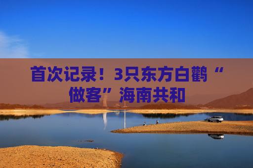 首次记录！3只东方白鹳“做客”海南共和