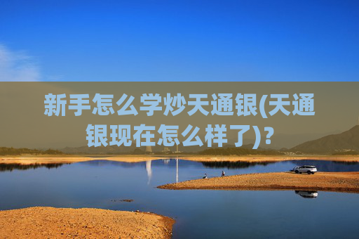 新手怎么学炒天通银(天通银现在怎么样了)？