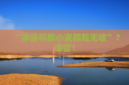 “冰雹导致小麦颗粒无收”？谣言！