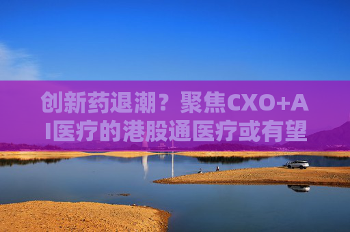 创新药退潮？聚焦CXO+AI医疗的港股通医疗或有望接棒