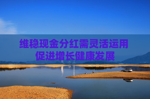 维稳现金分红需灵活运用 促进增长健康发展