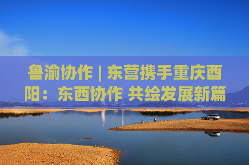 鲁渝协作 | 东营携手重庆酉阳：东西协作 共绘发展新篇