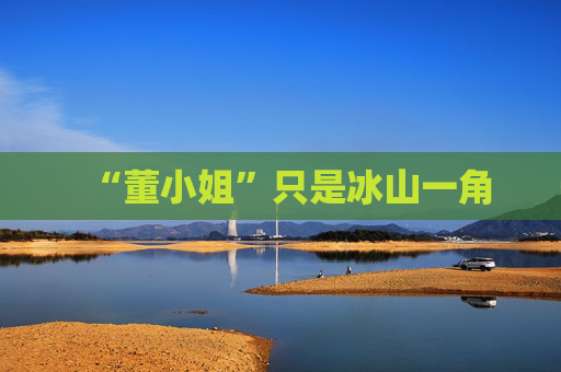 “董小姐”只是冰山一角