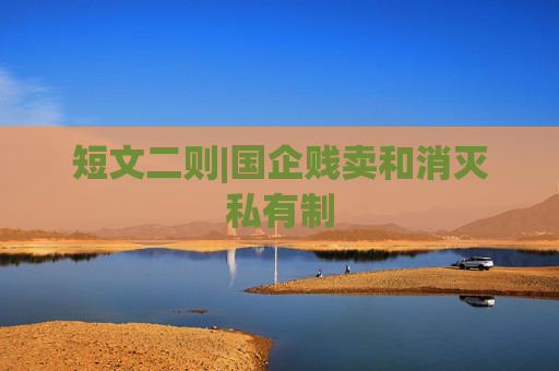 短文二则|国企贱卖和消灭私有制