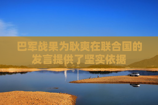 巴军战果为耿爽在联合国的发言提供了坚实依据