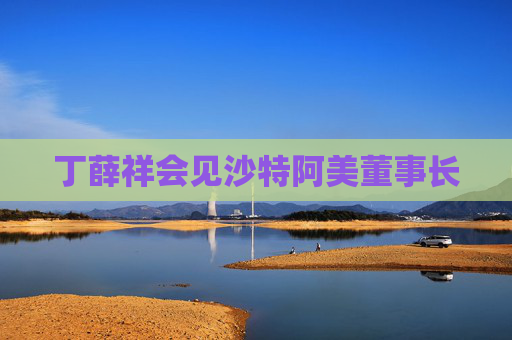 丁薛祥会见沙特阿美董事长