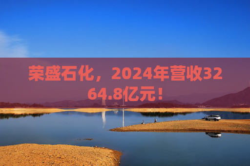 荣盛石化，2024年营收3264.8亿元！