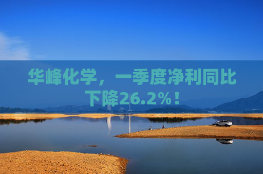 华峰化学，一季度净利同比下降26.2%！