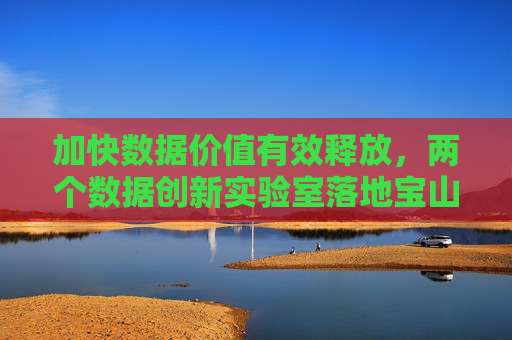 加快数据价值有效释放，两个数据创新实验室落地宝山