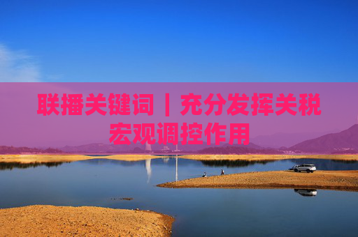 联播关键词｜充分发挥关税宏观调控作用