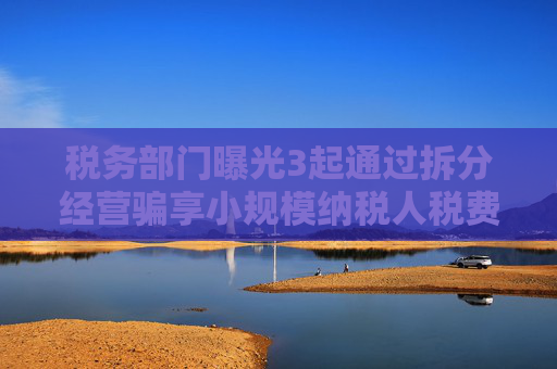 税务部门曝光3起通过拆分经营骗享小规模纳税人税费优惠偷税案件