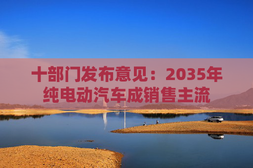 十部门发布意见：2035年纯电动汽车成销售主流
