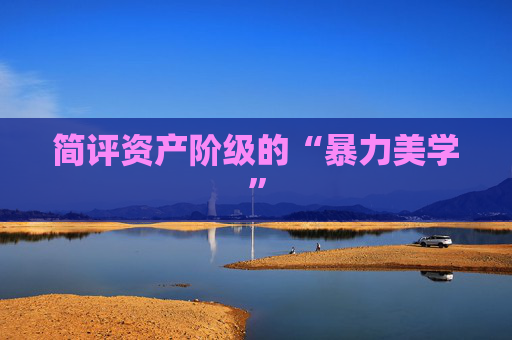 简评资产阶级的“暴力美学”