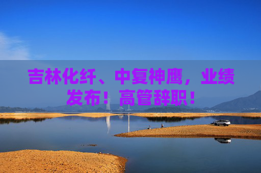 吉林化纤、中复神鹰，业绩发布！高管辞职！