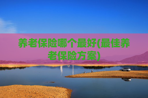 养老保险哪个最好(最佳养老保险方案)