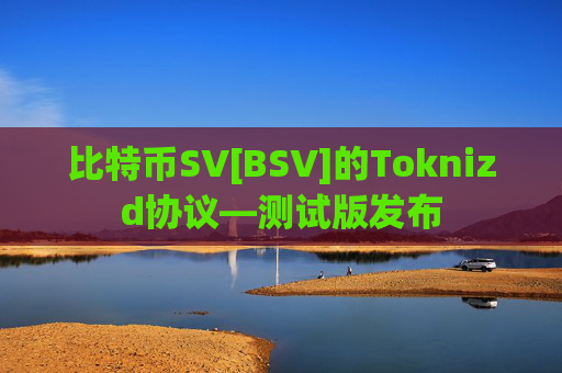 比特币SV[BSV]的Toknizd协议—测试版发布