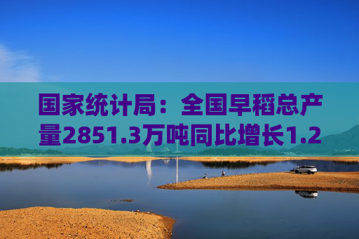 国家统计局：全国早稻总产量2851.3万吨同比增长1.2%
