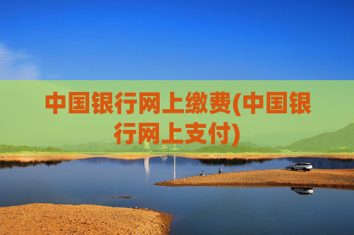 中国银行网上缴费(中国银行网上支付)