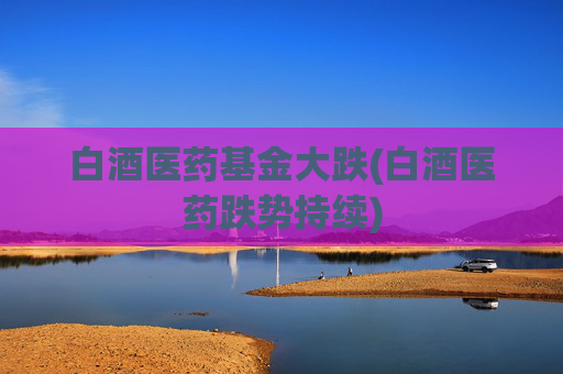 白酒医药基金大跌(白酒医药跌势持续)