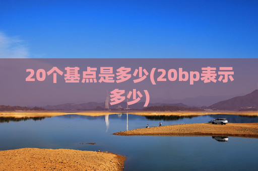 20个基点是多少(20bp表示多少)