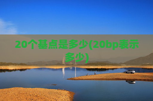 20个基点是多少(20bp表示多少)