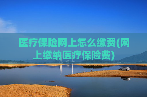 医疗保险网上怎么缴费(网上缴纳医疗保险费)