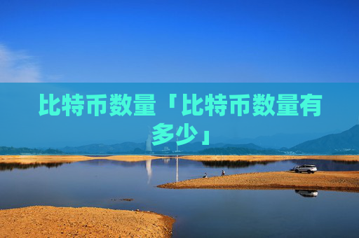 比特币数量「比特币数量有多少」