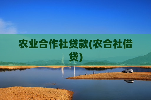 农业合作社贷款(农合社借贷)