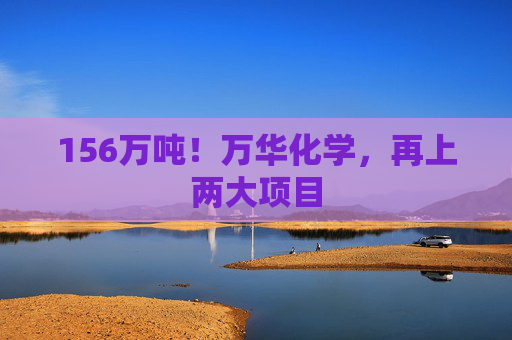 156万吨！万华化学，再上两大项目