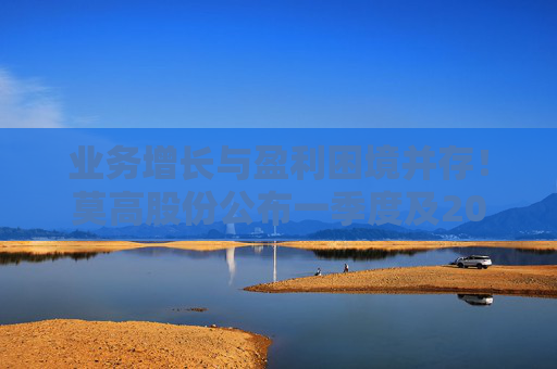 业务增长与盈利困境并存！莫高股份公布一季度及2024年年报