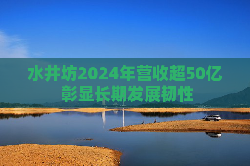 水井坊2024年营收超50亿 彰显长期发展韧性
