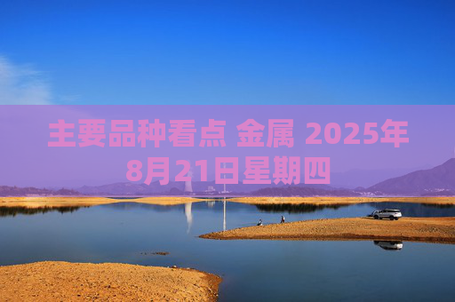 主要品种看点 金属 2025年8月21日星期四