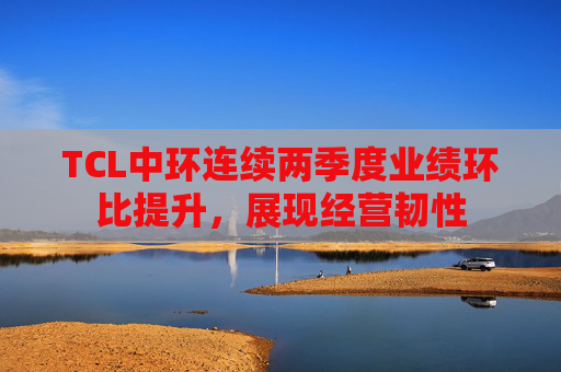 TCL中环连续两季度业绩环比提升，展现经营韧性