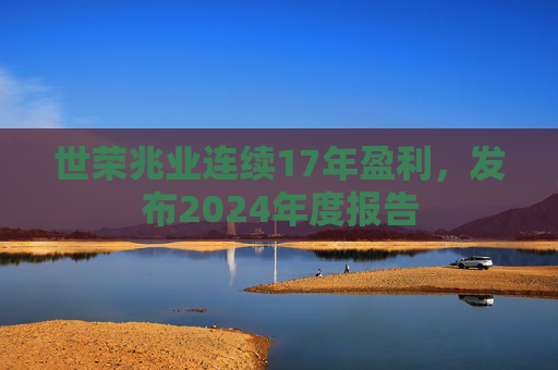 世荣兆业连续17年盈利，发布2024年度报告