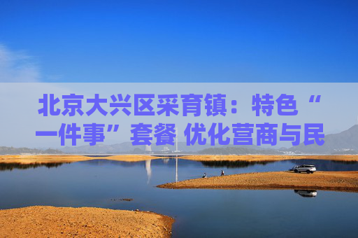 北京大兴区采育镇：特色“一件事”套餐 优化营商与民生服务