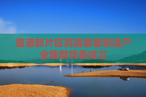 临港新片区高端装备制造产业集群党委成立